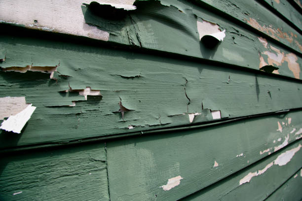 Best Construction Debris Removal  in Tavernier, FL