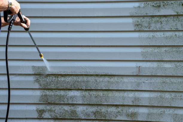 Same-Day Junk Removal Services in Tavernier, FL