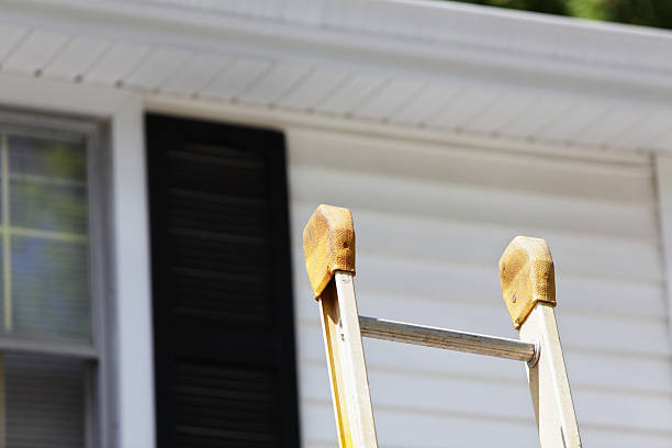 Best Hoarding Cleanup  in Tavernier, FL