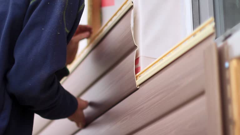 Best Moving and Downsizing Cleanouts  in Tavernier, FL